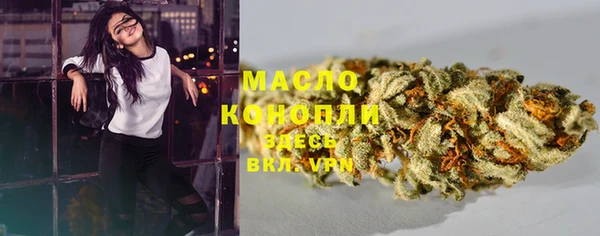 сатива Дмитров