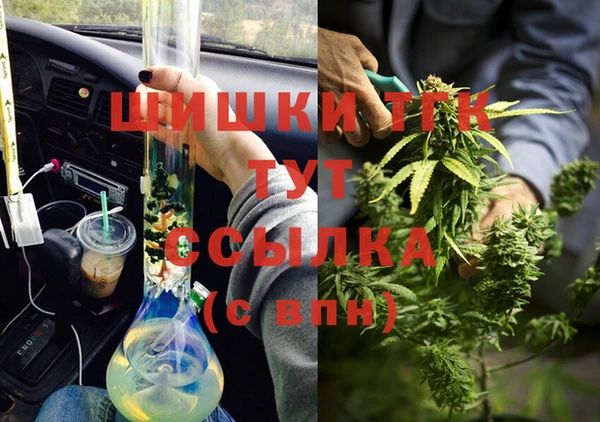 сатива Дмитров
