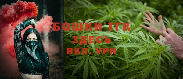 сатива Дмитров