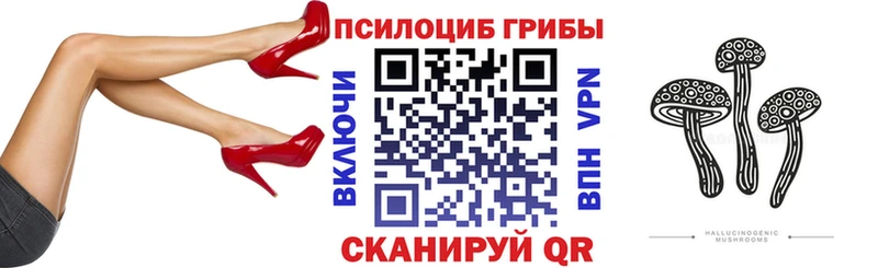 Купить где  Миллерово  Галлюциногенные грибы Cubensis 
