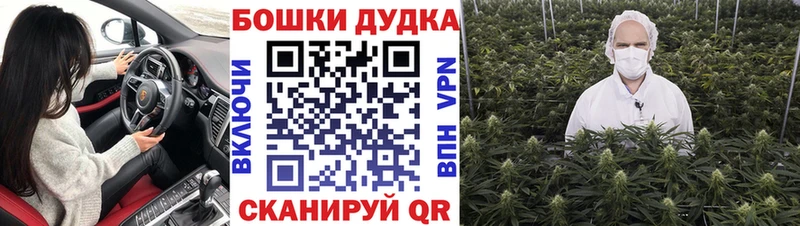 Купить закладки  Миллерово  МАРИХУАНА Ganja 
